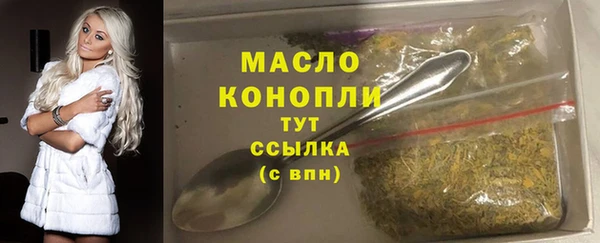 дмт Богородицк