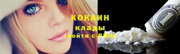 дмт Богородицк