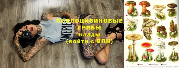 метамфетамин Богданович