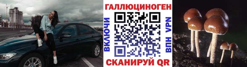 где купить наркоту  Верхний Уфалей  Галлюциногенные грибы GOLDEN TEACHER 