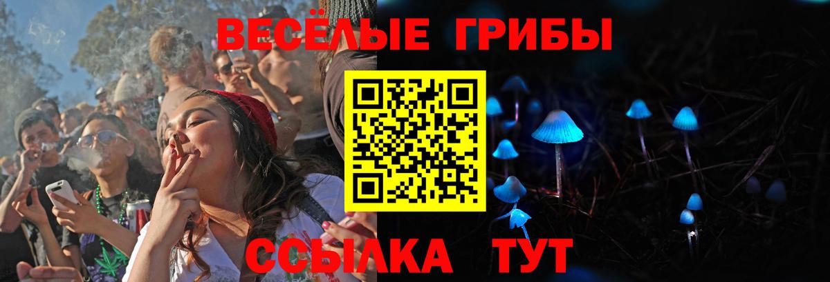 Верхний Уфалей  Псилоцибиновые грибы Psilocybe  Вход с VPN 